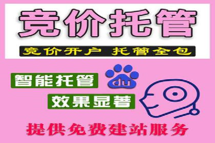 SEM推广策略：成功案例解析与效果评估